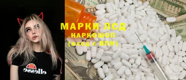 шишки Баксан