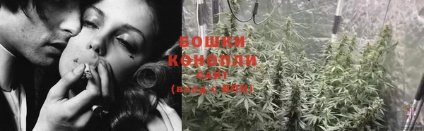 шишки Баксан