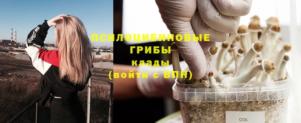шишки Баксан