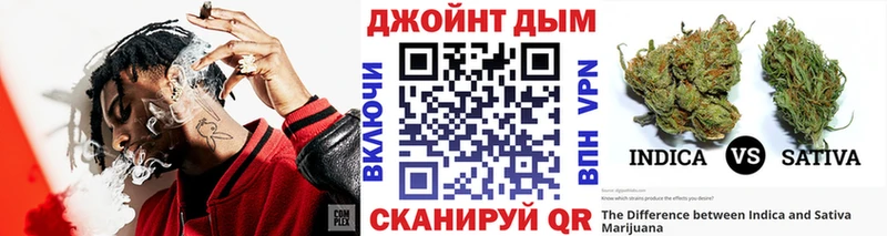 Купить  Сенгилей  Каннабис индика 
